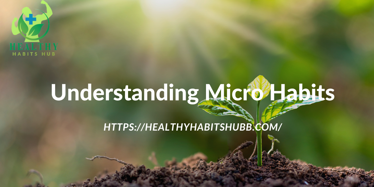 Understanding Micro Habits
