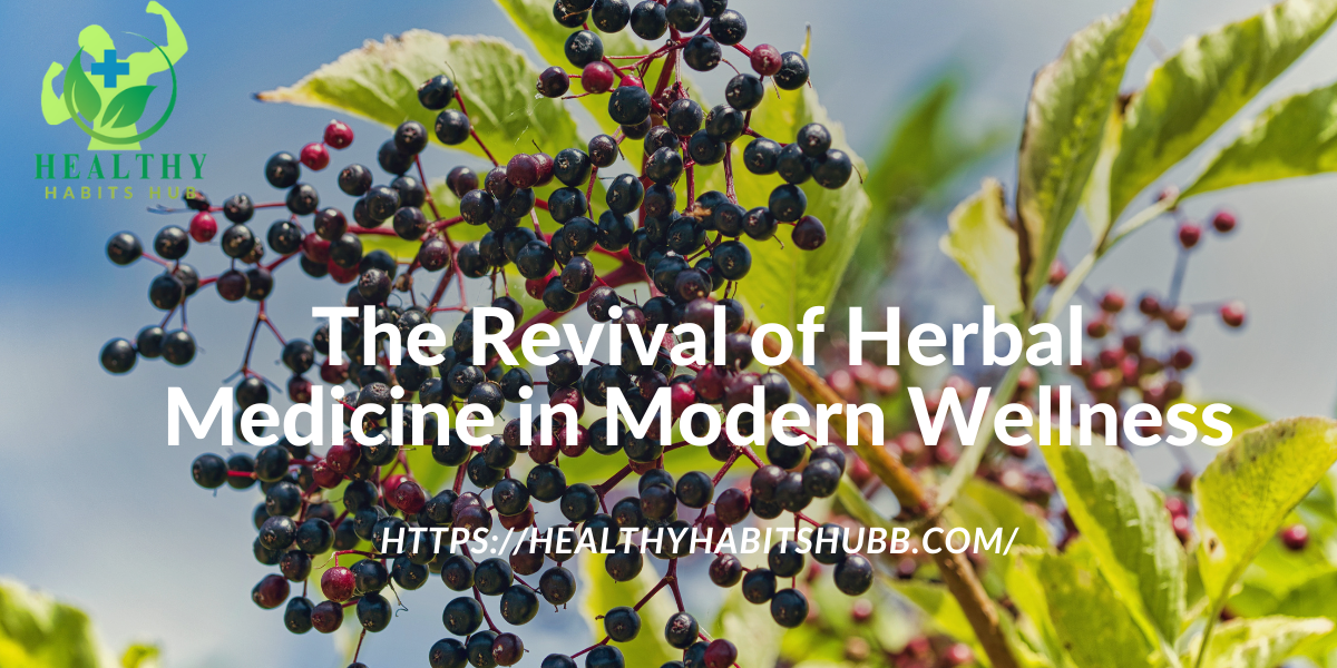 The Revival of Herbal Medicine in Modern Wellness