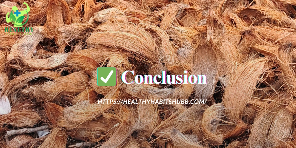 ✅ Conclusion