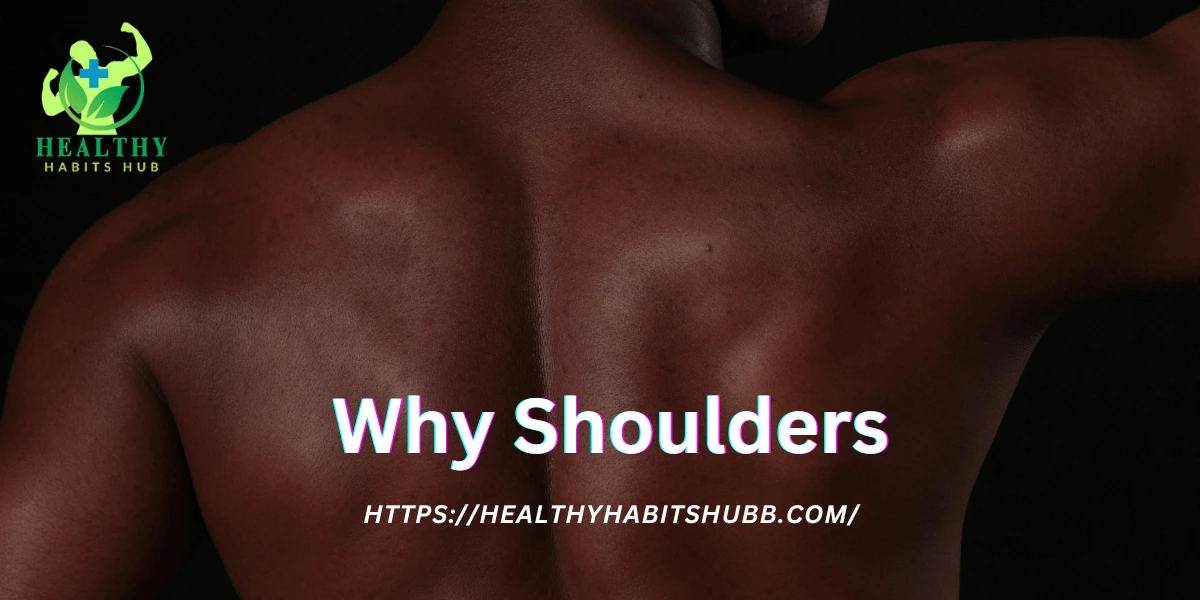 🧠 Why Shoulders?
