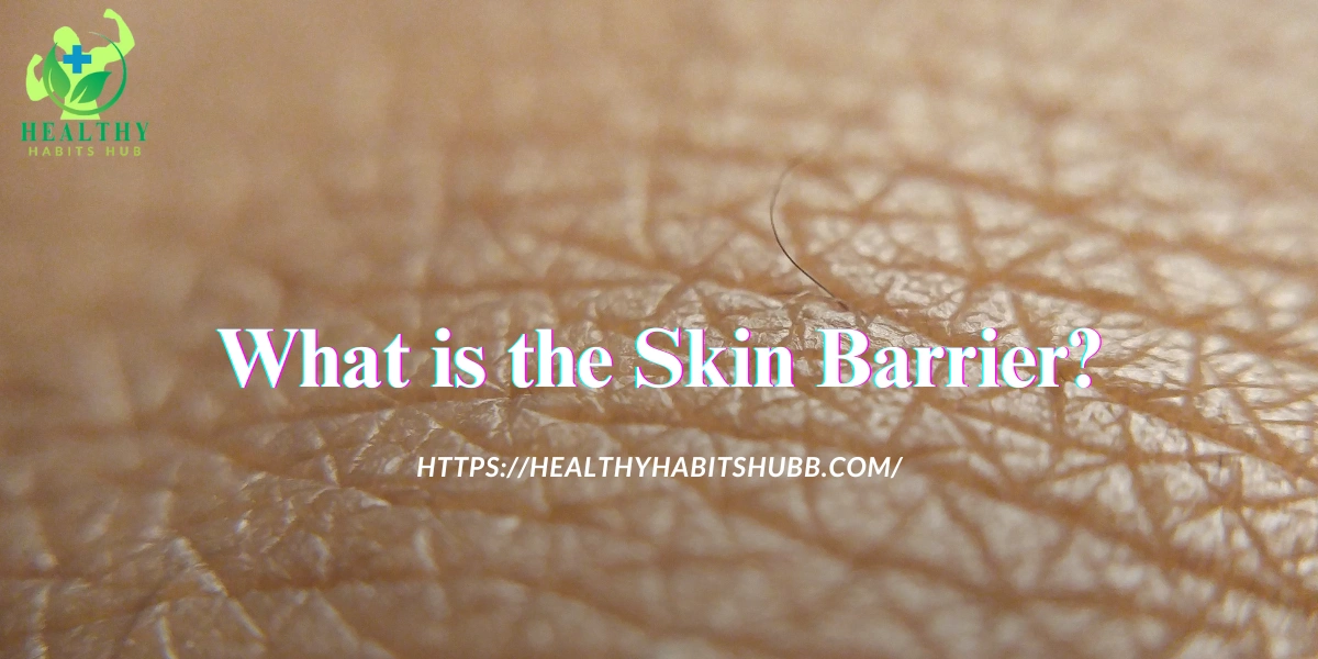 What is the Skin Barrier?
